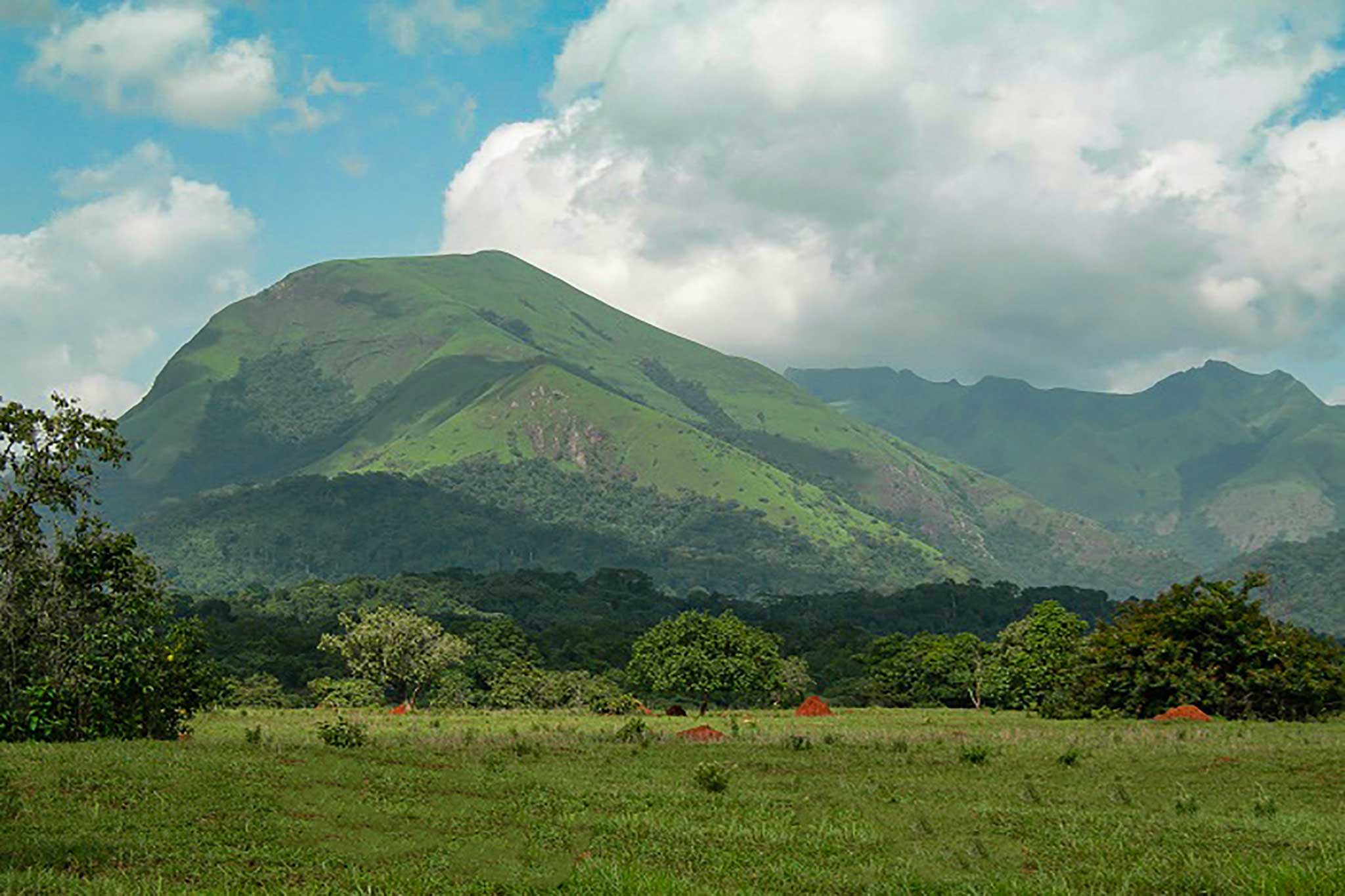 nimba-guinea-mountain-miranasstourisme-nzerekore-reserve-naturelle